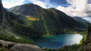 Польша приняла закон о крипторынке