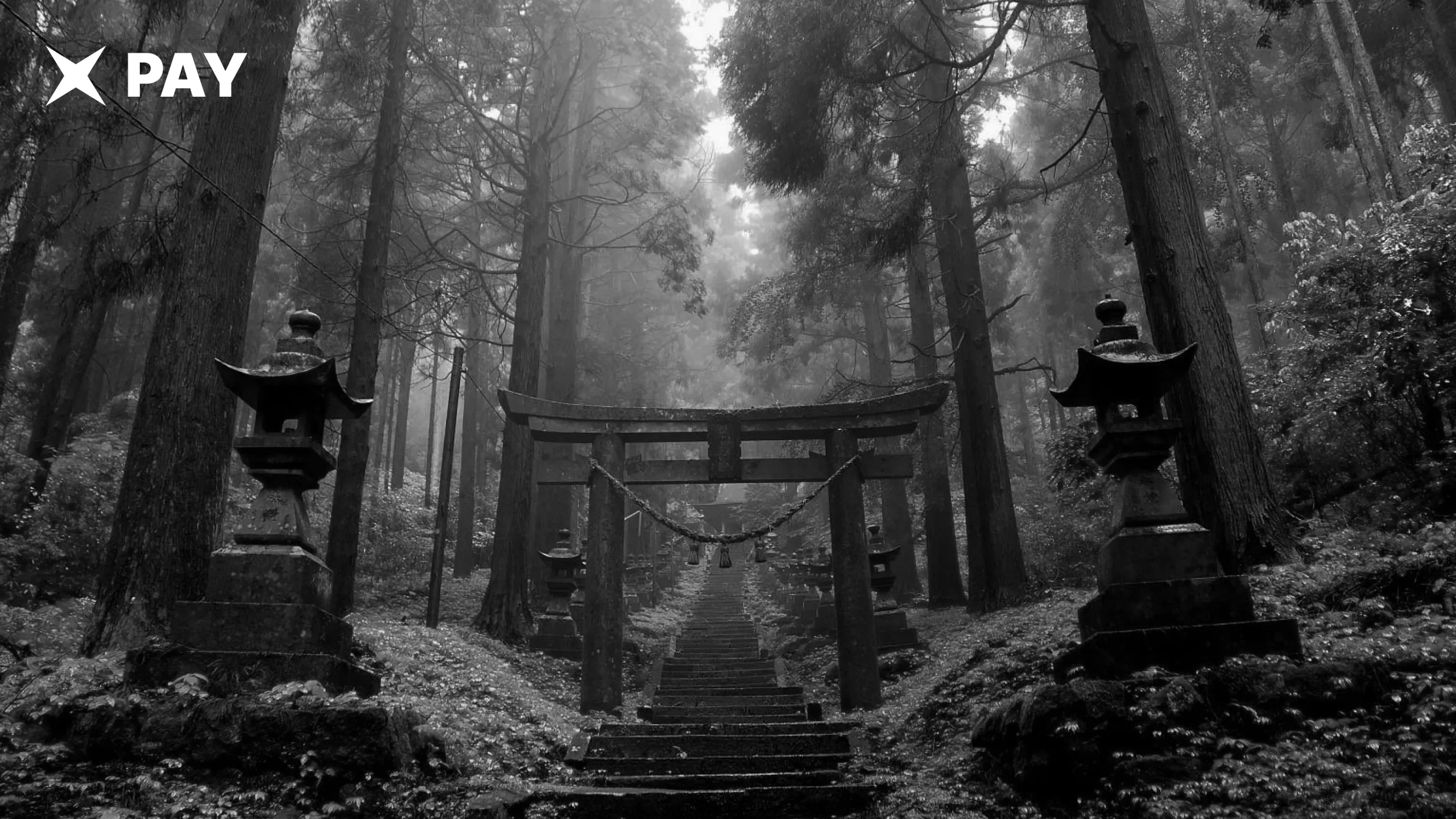 2028: Япония запускает крипто-ETF