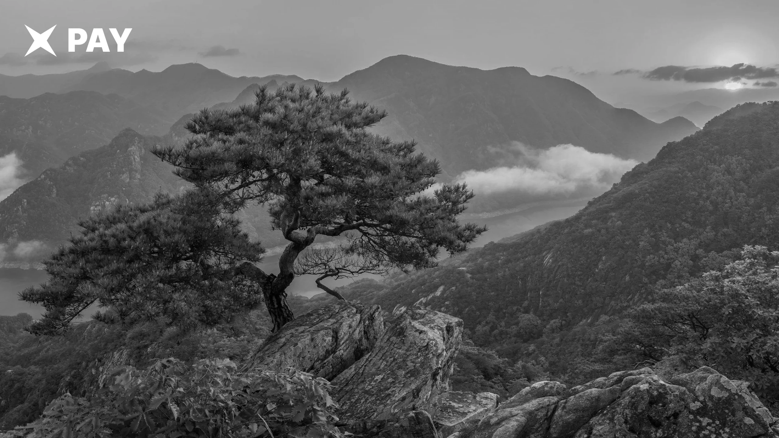 Корея ужесточает правила для крипторынка