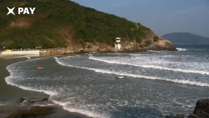 Гонконг вернулся к лицензированию