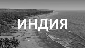 Бюджет Индии разочаровал владельцев крипты