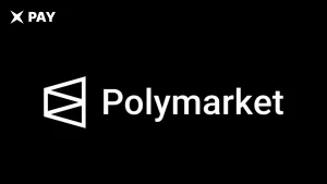 Нидерланды выступили против Polymarket