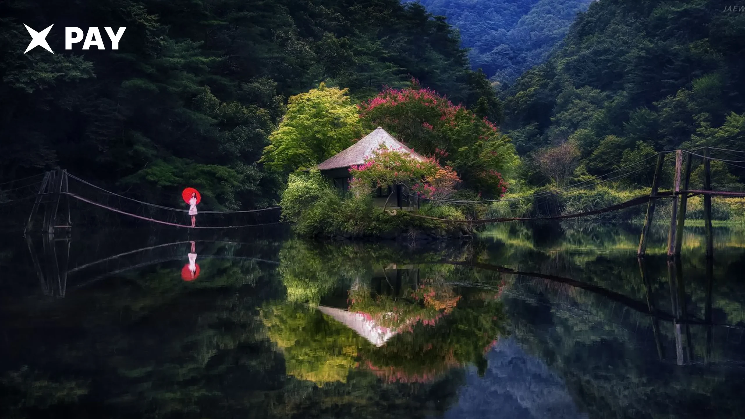 Стейблкоины в Корее: только ЦБ