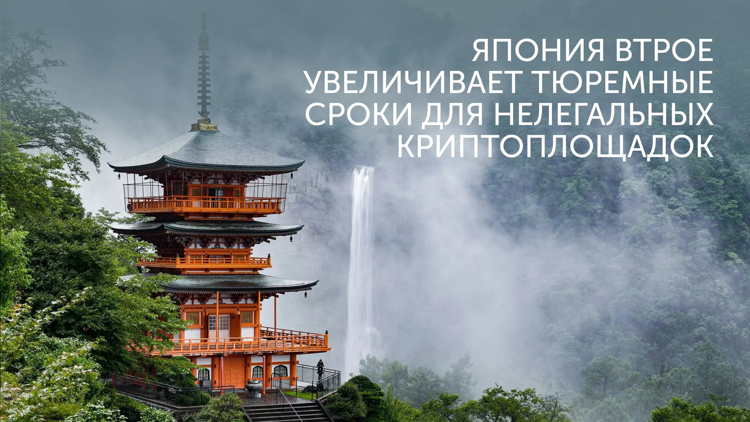 10 лет тюрьмы за крипту в Японии