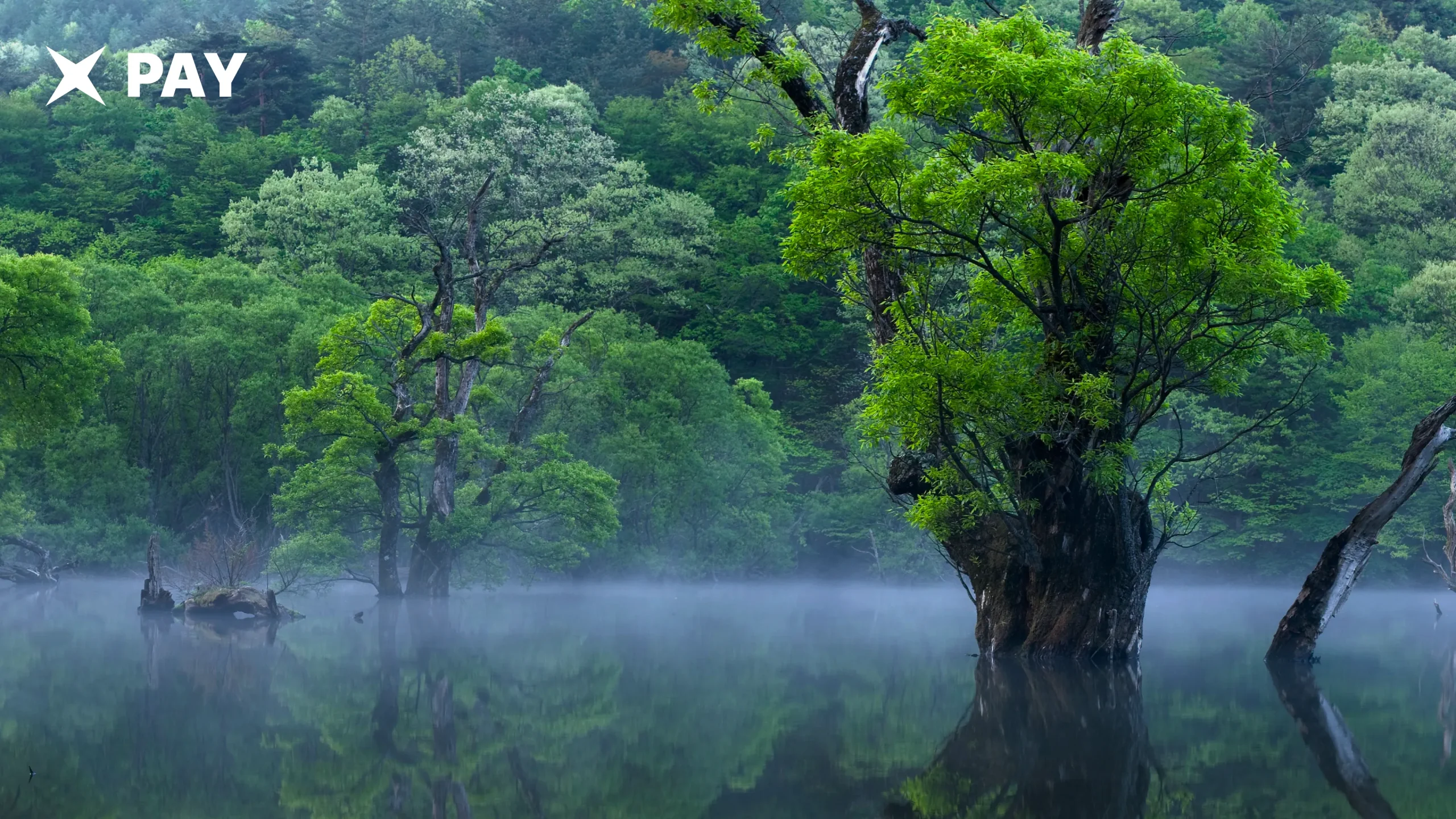 Новая фаза Hangang запущена в Южной Корее