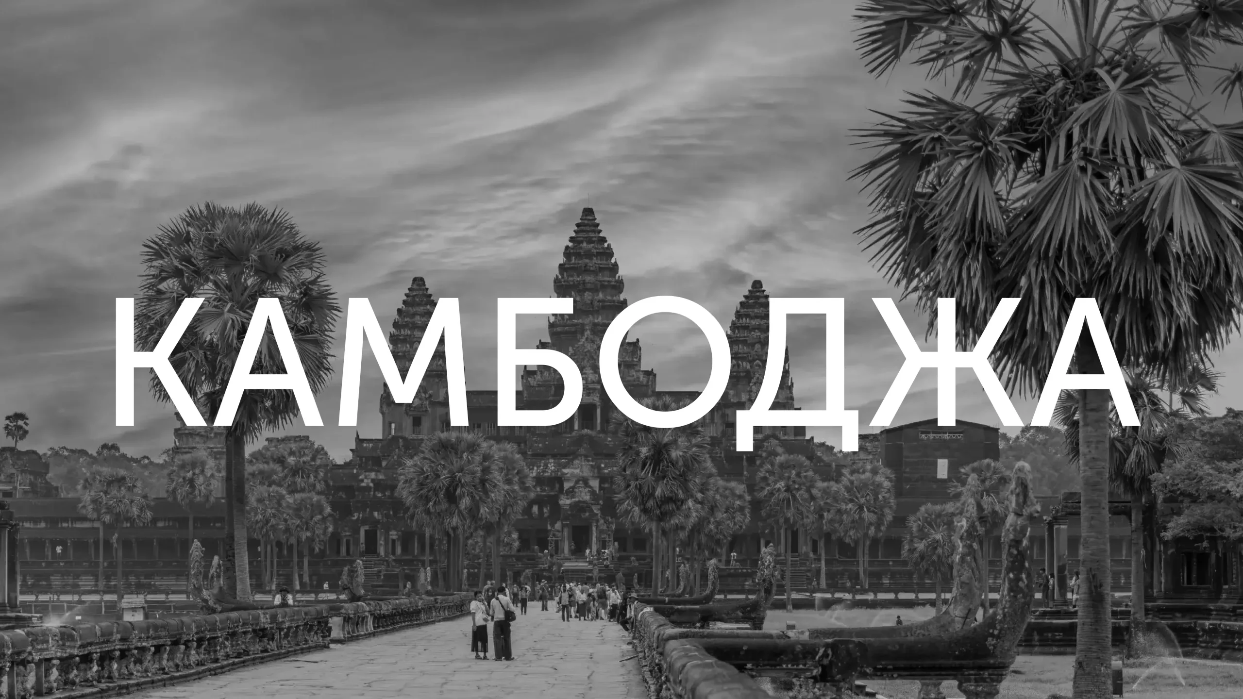 Satoshi’s Paradise открыт для инвесторов