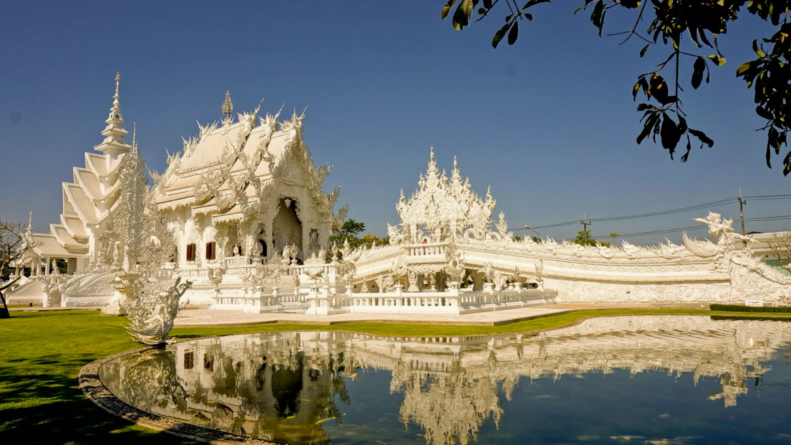 ФБР и Таиланд против криптомошенничества