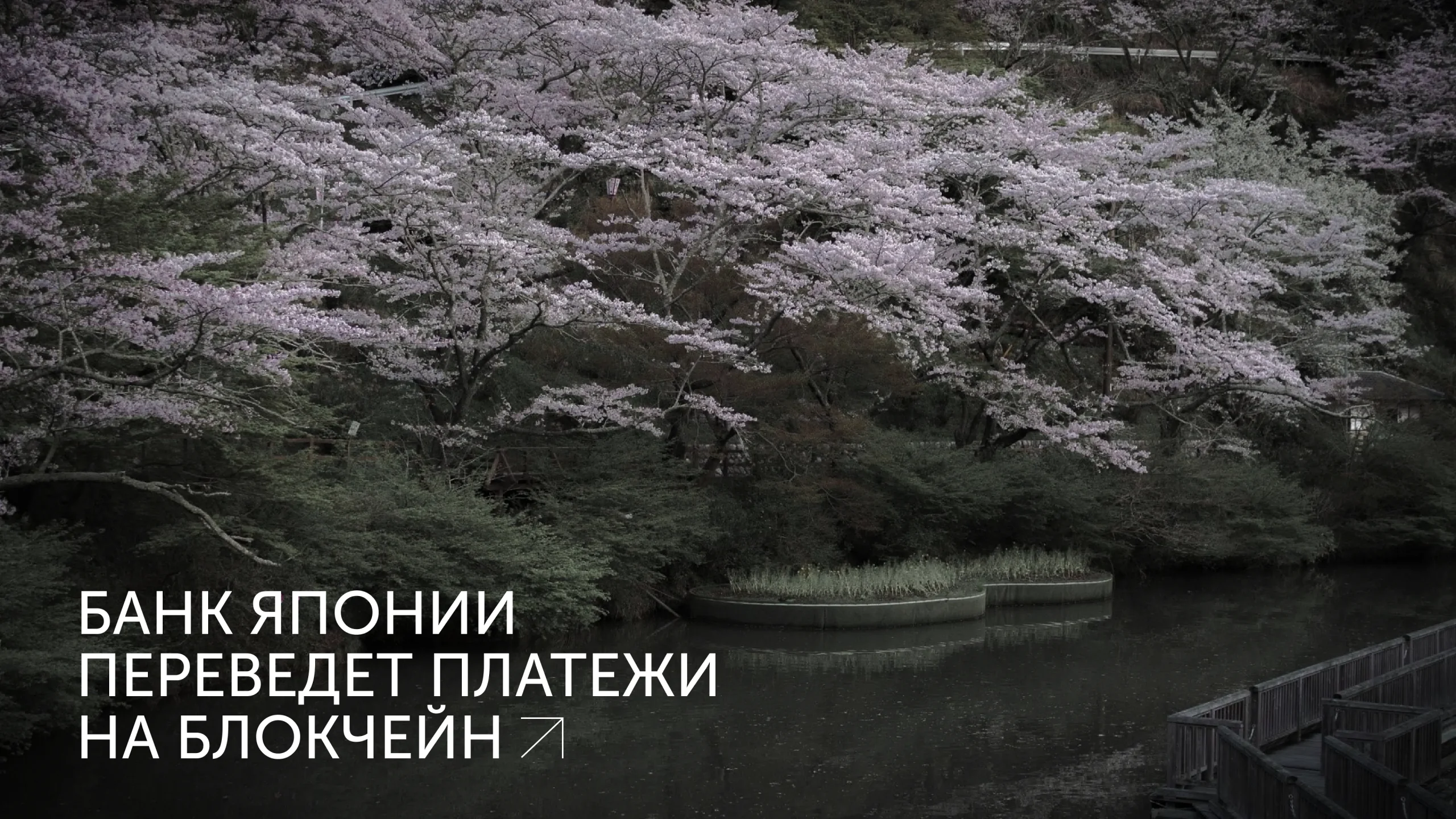 Банк Японии переведет платежи на блокчейн