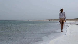 BILS запустили в Израиле