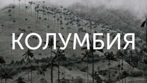 Porvenir: пенсионный фонд и BTC в Колумбии