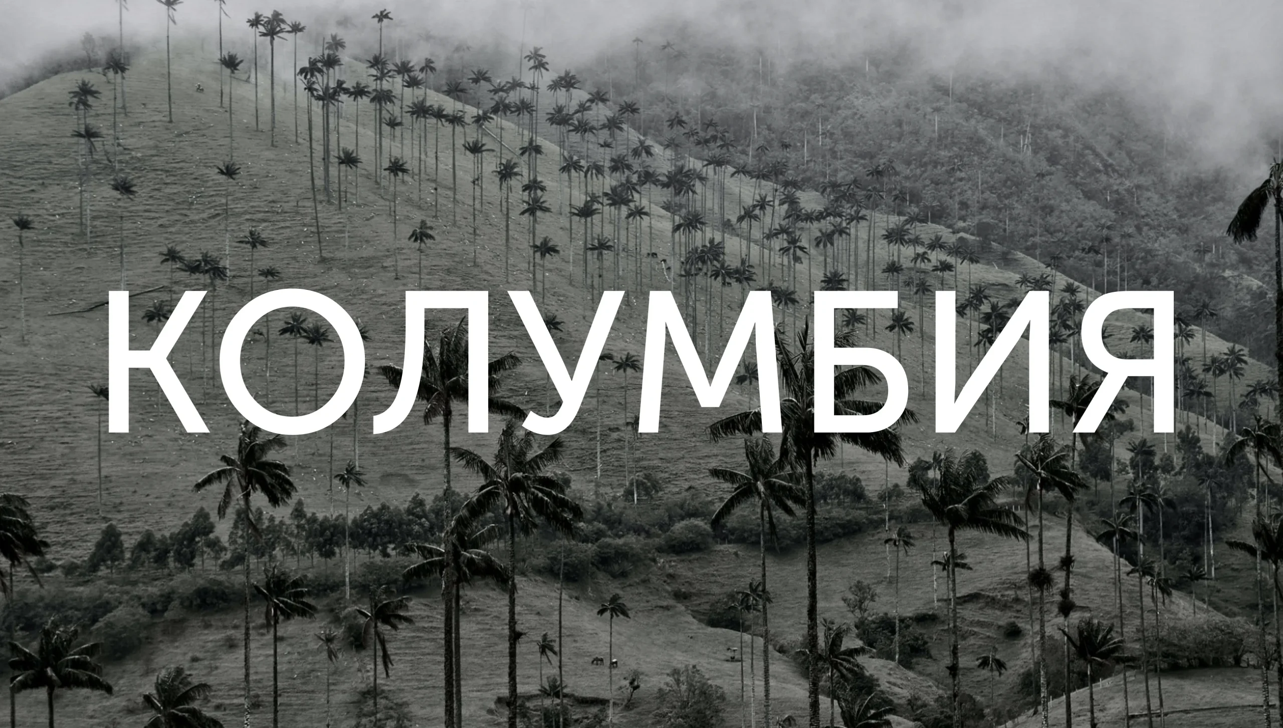 Porvenir: пенсионный фонд и BTC в Колумбии