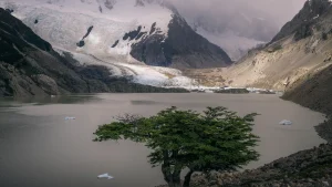 Скандал с токеном Libra продолжается