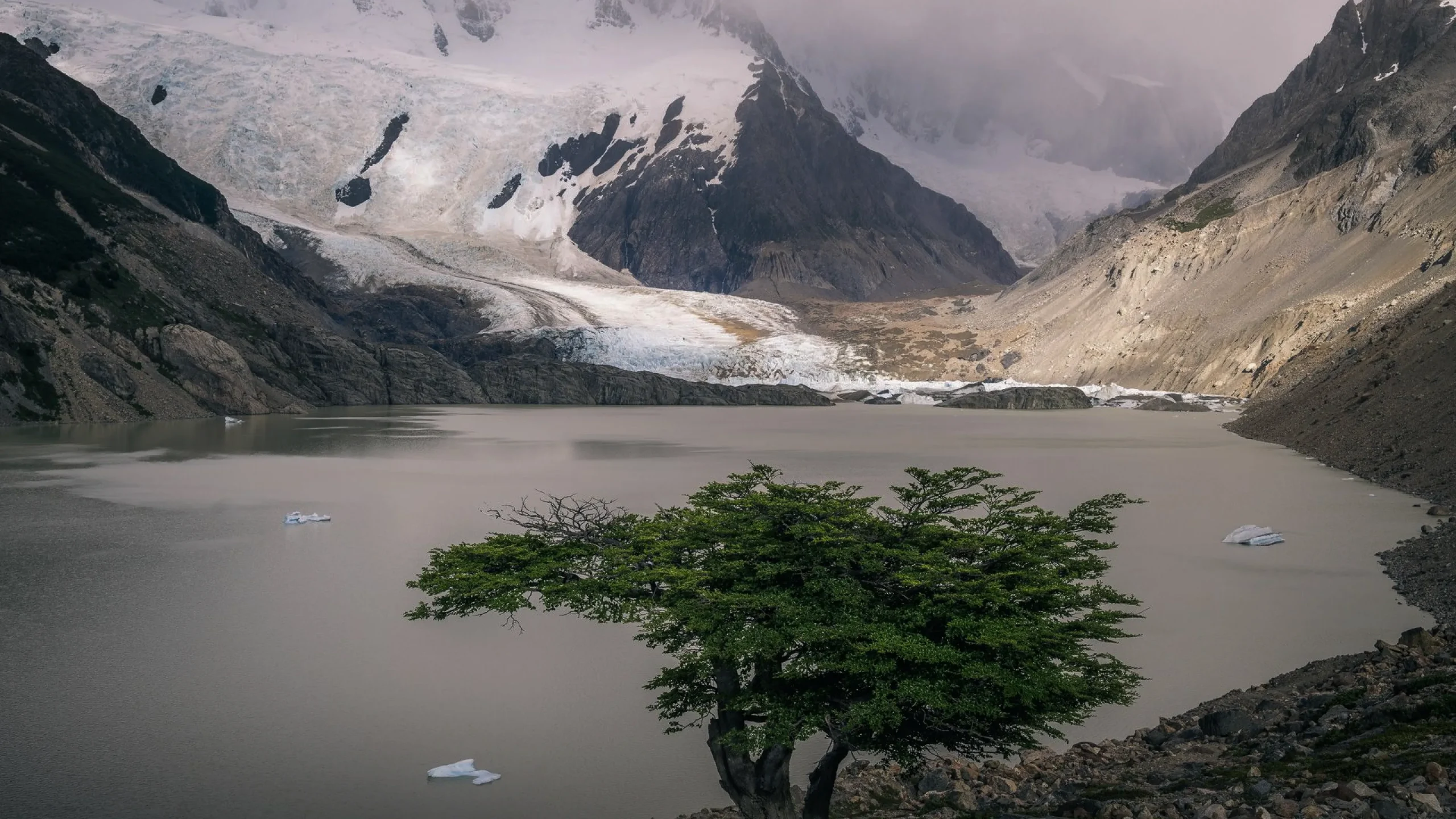 Скандал с токеном Libra продолжается