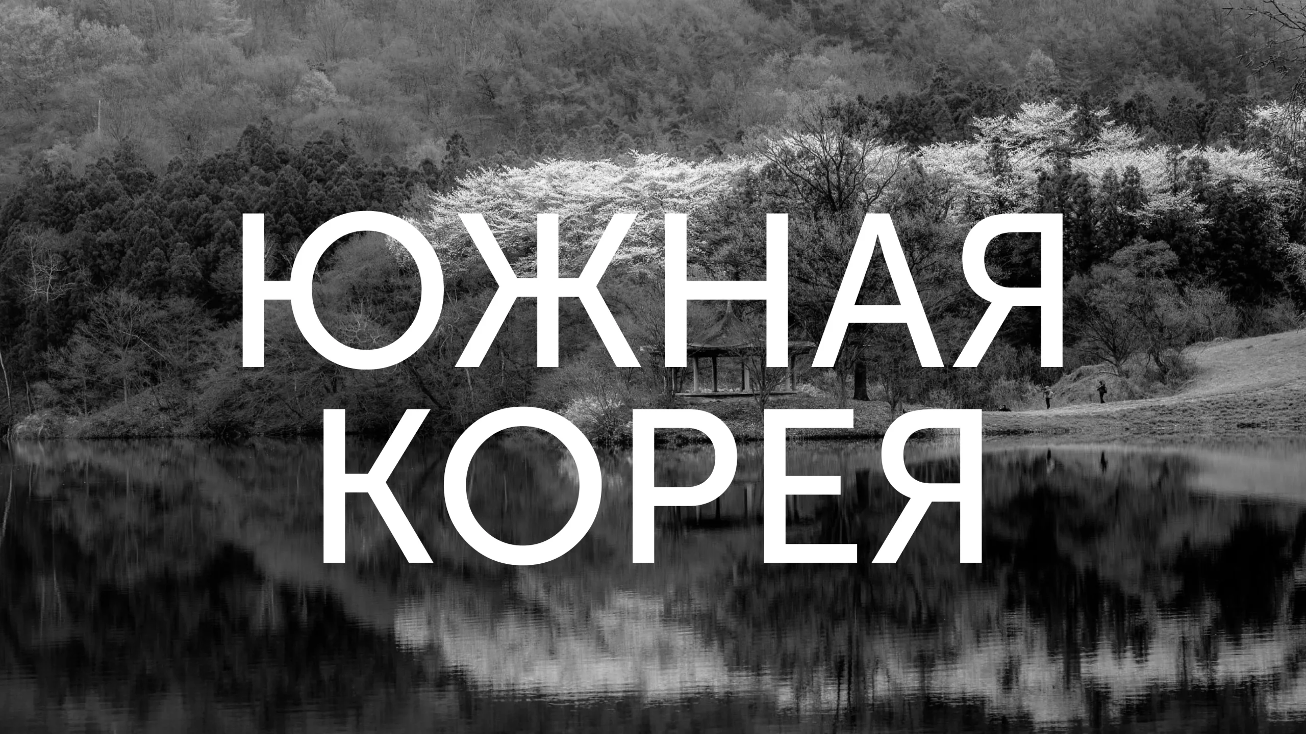 Корея внедряет ИИ для налогового контроля