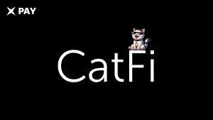 CATFI: Корея завела дело на DEX