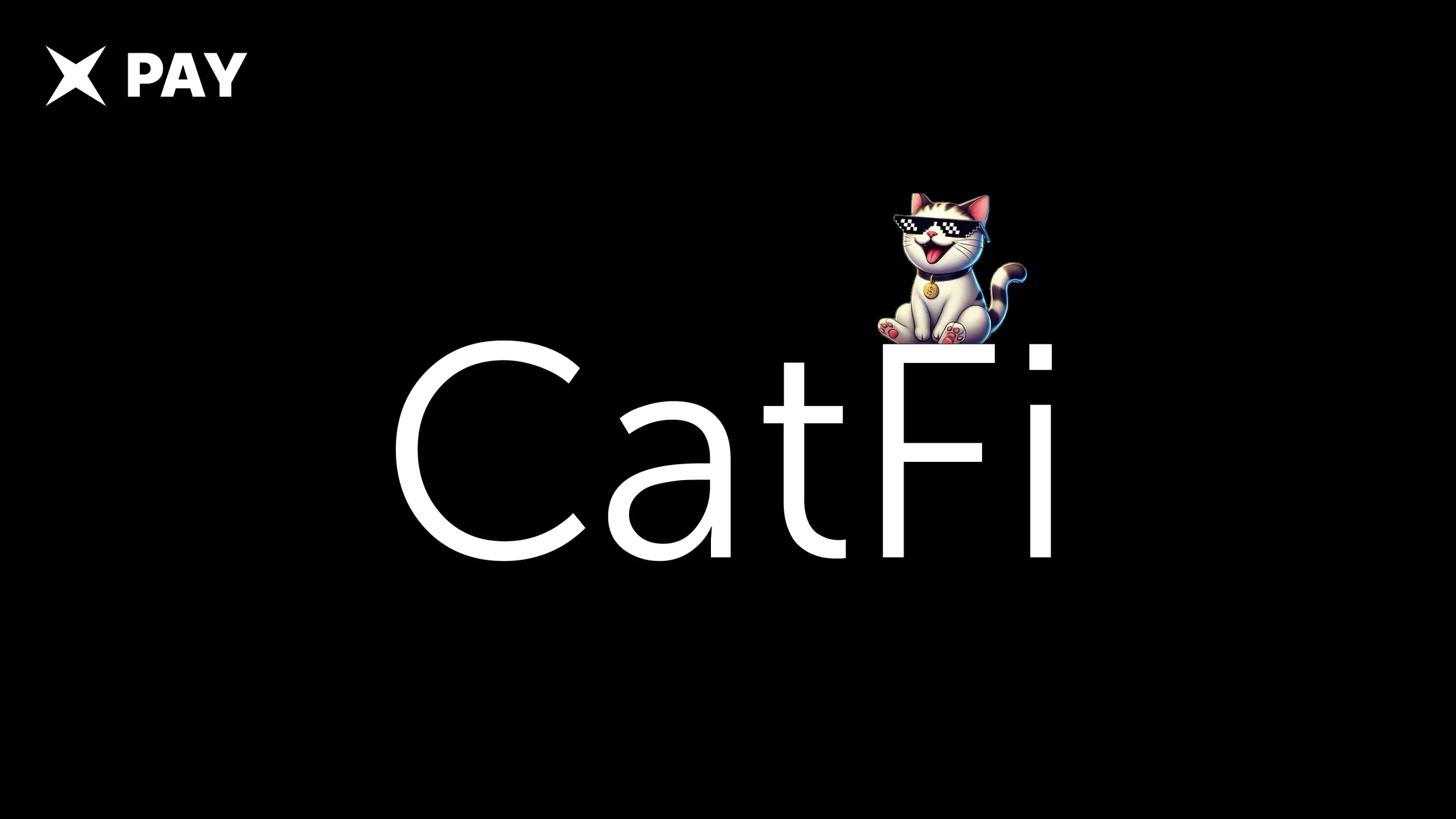CATFI: Корея завела дело на DEX