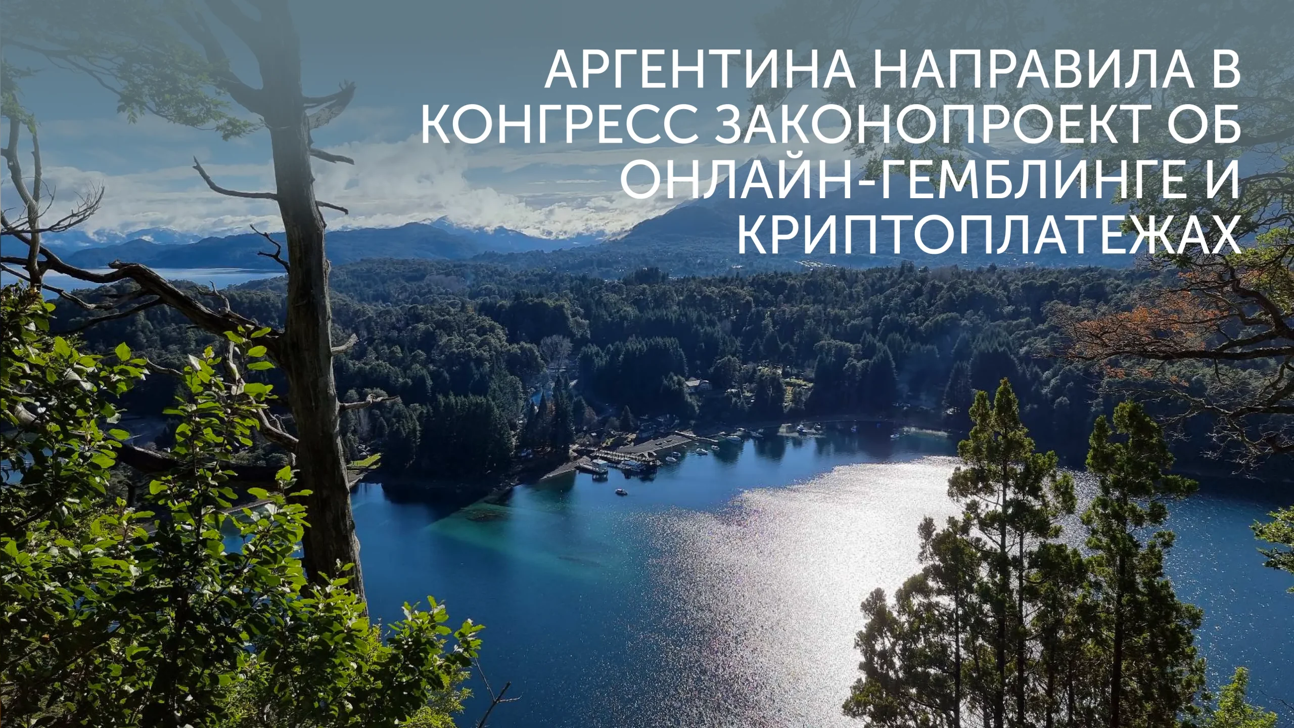 Аргентина против гемблинга и криптоплатежей