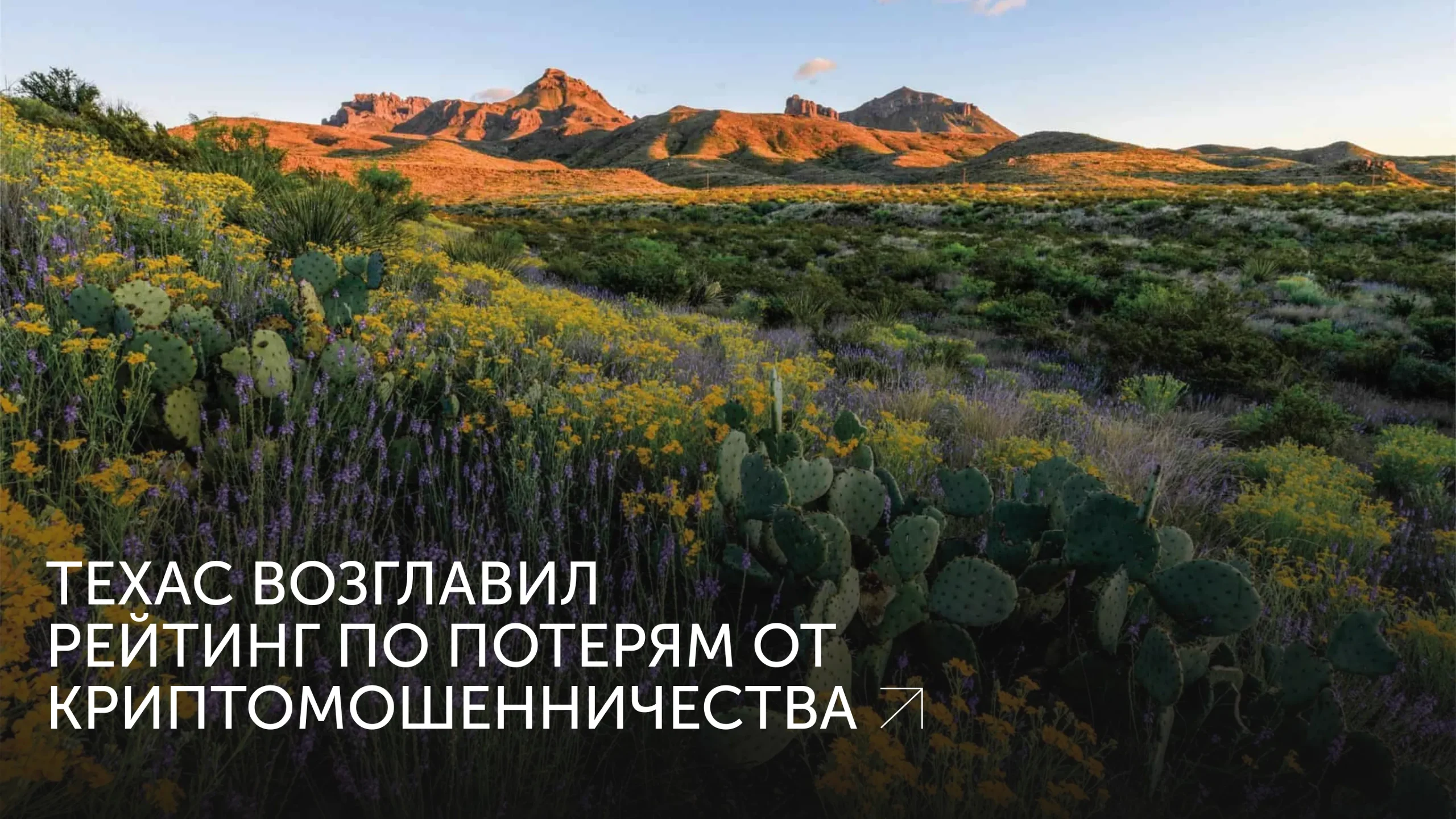 Техас потерял 56 млн на криптоматах