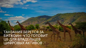 Танзания ужесточает криптоконтроль