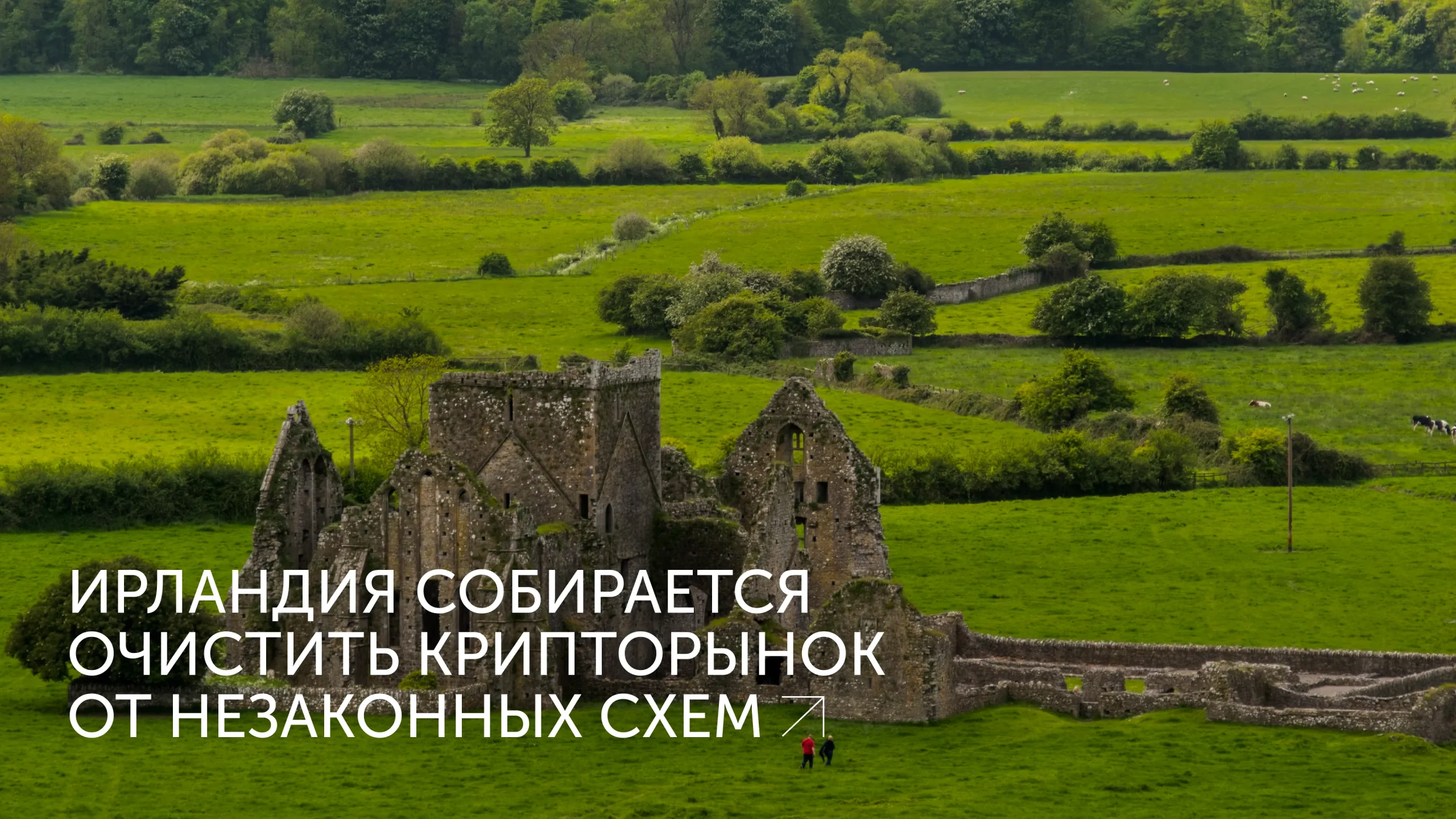 Ирландия ужесточает криптонадзор