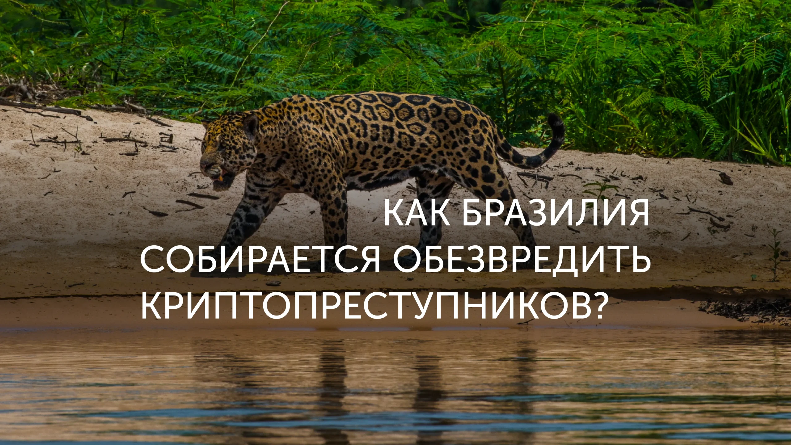 Бразилия запускает криптосистему оповещений