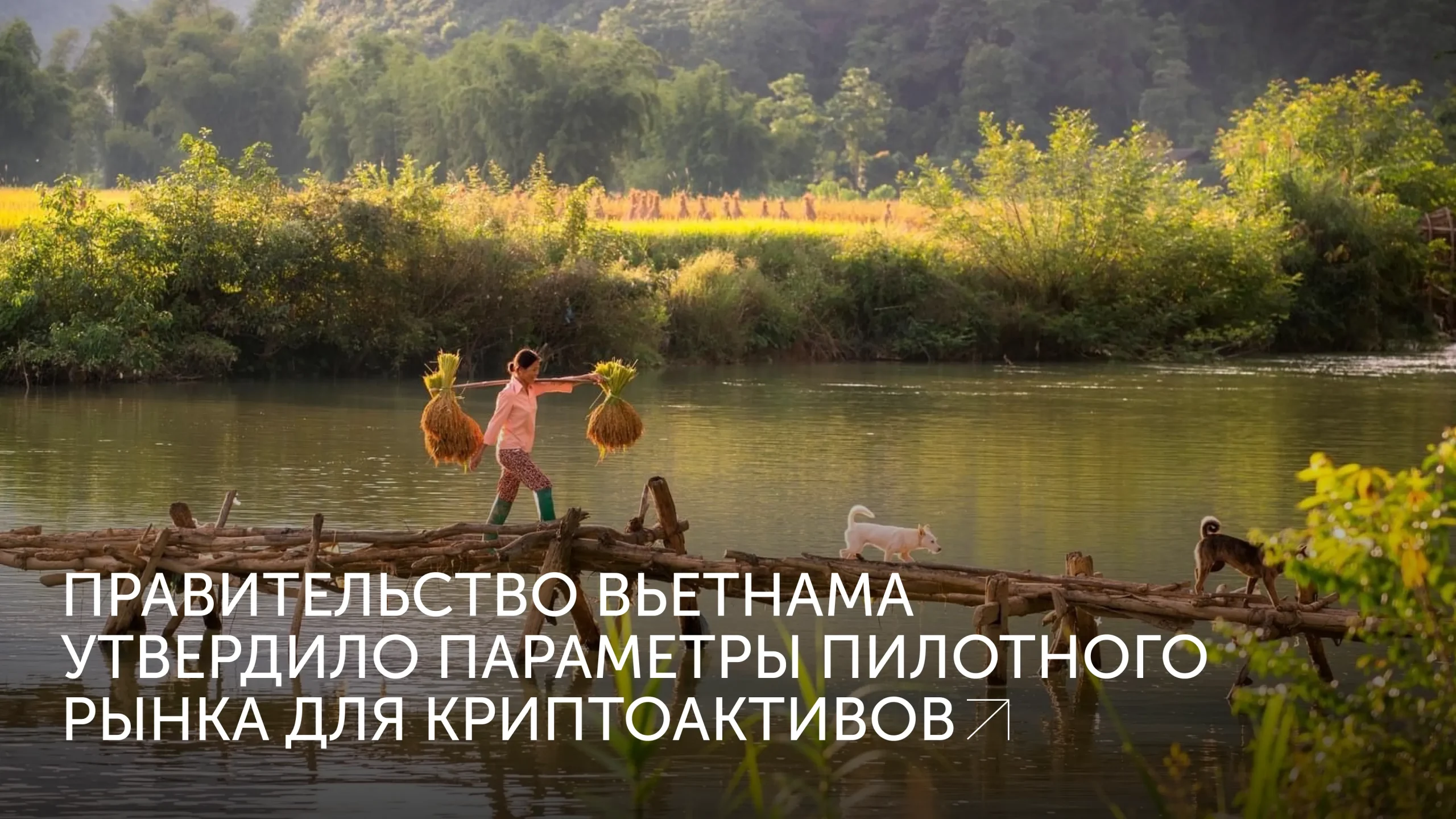 Пилотный рынок крипты во Вьетнаме