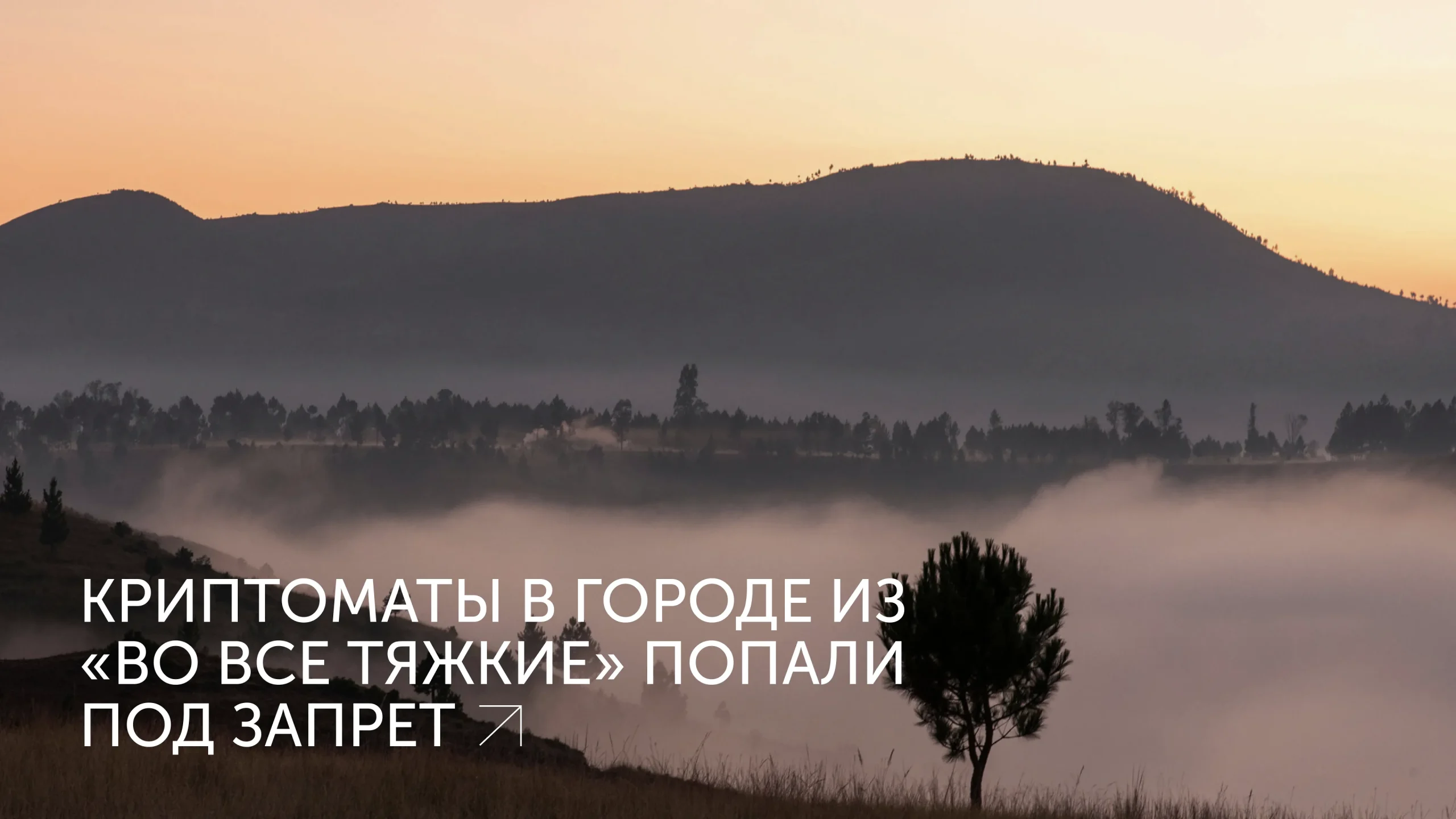 Альбукерке запретил криптоматы