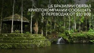 Бразилия:некастодиальные кошельки под отчет