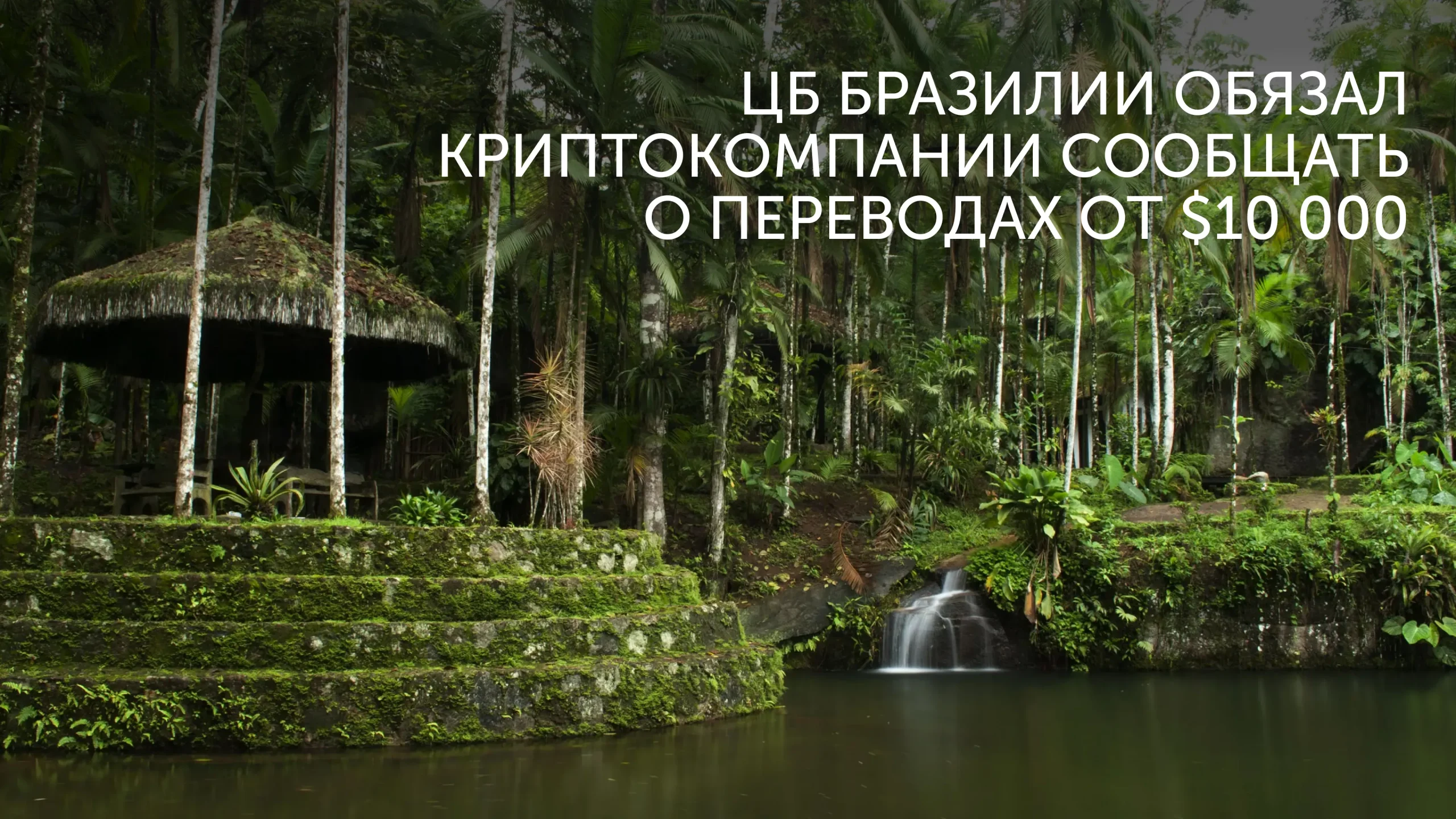Бразилия:некастодиальные кошельки под отчет