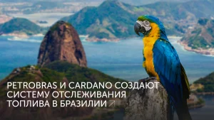 Cardano поможет Petrobras с топливом