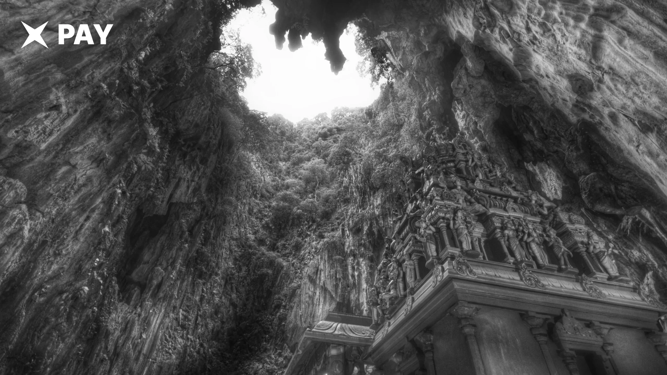Малайзия и Таиланд вошли в BLOOM
