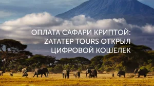 Биткоин для сафари в Танзании